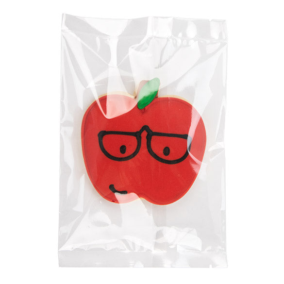 Plastpåsar 12,5x17,5cm laminerade (100 st) [SLB57]