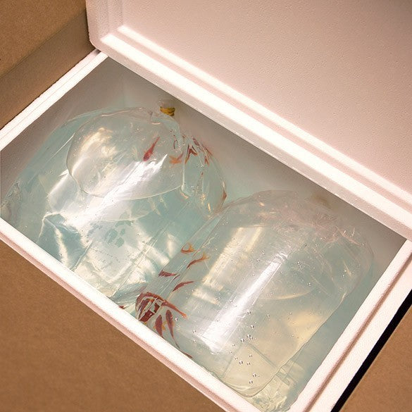 Platta påsar kraftig 16,1x16,5x57,2cm (100 st) [3GSBW2]