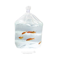 Block Bottom Bags Heavy Duty 39,4x36,8x62,2cm