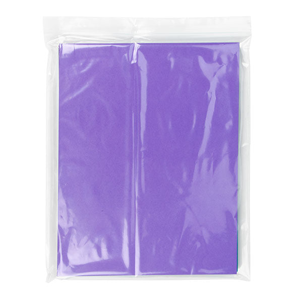 Blixtlåspåsar 25,5x30,5cm PE 50 mikron (100 st) [2PE1012]