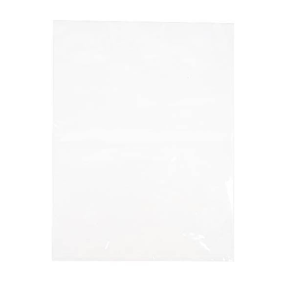 Plastpåsar 22,9x30,5cm Klar Polypropylen (100 st) [FP1H912]