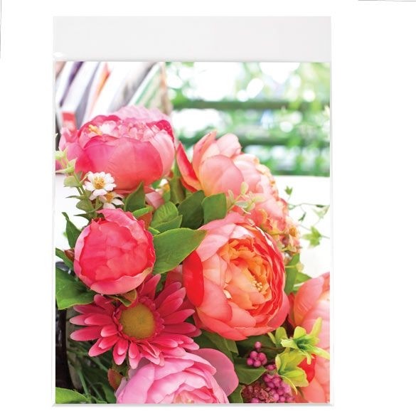 Plastpåsar 21,4x22,7cm Transparent med Tejpremsa (100 st) [B108SPC]