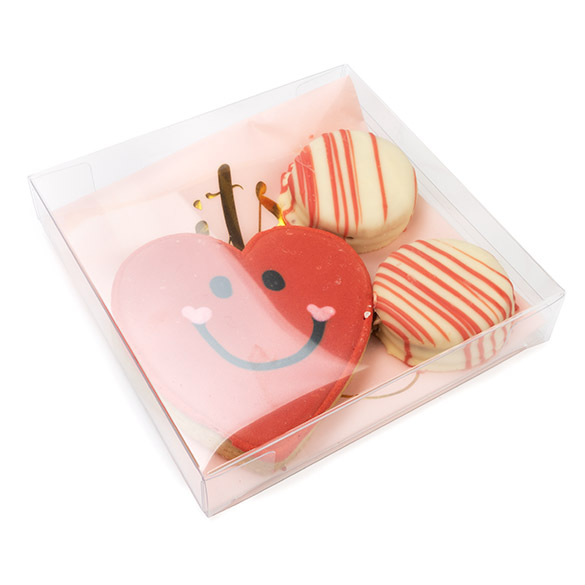 Kristallklara Plastlådor rPET 13x2,5x12,9cm (25 st) [FB47R]