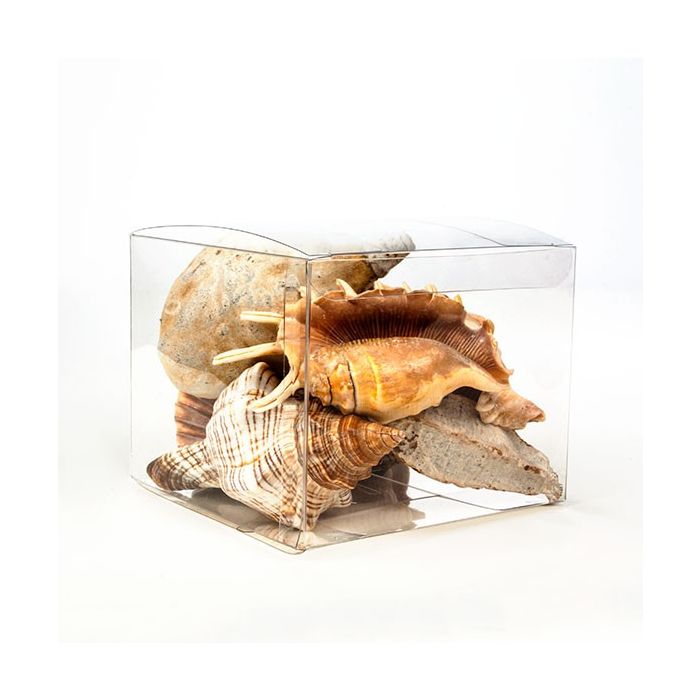 Plastlådor 12,7x12,7x10,2cm Kristallklart (50 st) [VB308]