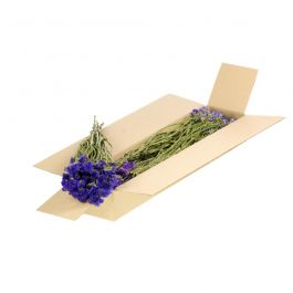 Torkade blommor Natural Blå Statice sinuata (1 paket) [RU-00562.000.9]