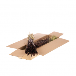 Torkade blommor djupt brun Tarwe (Triticum) (1 paket) [RU-00574.112.9]