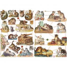 Bokmärken, katter, ark 16,5x23,5 cm, 2 ark/ 1 förp. [HOB-19357]