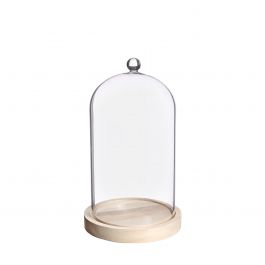 Glaskupa med glasknopp med träbas Ø14 h.23,5 cm (1 st) [IFS-29314]