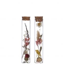 Glasrör med 2 olika torkade blommor Ø3cm (12 st.) [IFS-29343]