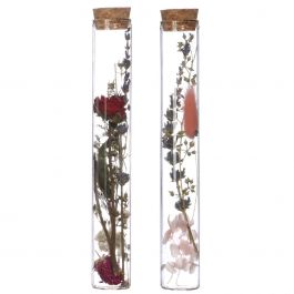 Glasrör med 2 olika torkade blommor Ø3cm (12 st.) [IFS-29344]