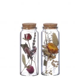 Glasrör med 2 olika torkade blommor Ø4,5 cm (12 st.) [IFS-29346]