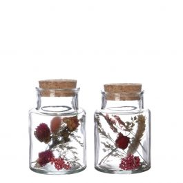Medicinflaska i glas med 2 olika torkade blommor Ø7cm (12 st.) [IFS-29394]