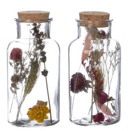 Medicinflaska i glas med 2 olika torkade blommor Ø8cm (12 st.) [IFS-29395]
