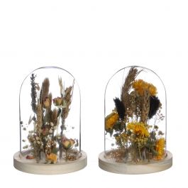 Glasburk med torkade blommor naturlig Ø10cm (1 st.) [IFS-29833]
