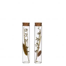 Glasrör med flera torkade blommor naturliga 15cm höga (12 st.) [IFS-30343]