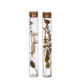 Glasrör med flera torkade blommor naturliga 20cm höga (12 st.) [IFS-30344]