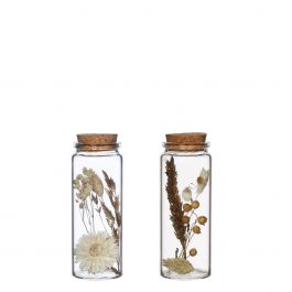 Glasrör med flera torkade blommor naturliga 12,5 cm höga (12 st.) [IFS-30346]