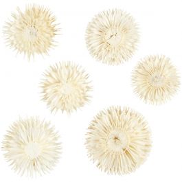 Torkade Blommor, Dia. 3-5 cm, 6 st./ 1 förp. [HOB-50204]