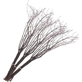 Påskris, L: 50-60 cm, 20 st./ 1 förp. [HOB-50240]