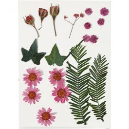 Torkade blommor och blad, ljusröd, 1 förp. [HOB-504471]