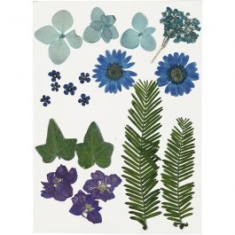 Torkade blommor och blad, blå, 1 förp. [HOB-504472]