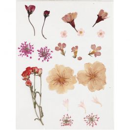 Torkade blommor och blad, ljusrosa, 1 förp. [HOB-504474]