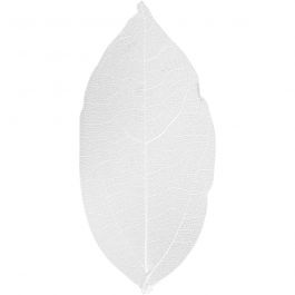Skelettblad, L: 6-8 cm, vit, 20 st./ 1 förp. [HOB-504491]