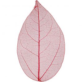 Skelettblad, L: 6-8 cm, röd, 20 st./ 1 förp. [HOB-504495]
