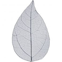 Skelettblad, L: 6-8 cm, blå, 20 st./ 1 förp. [HOB-504497]