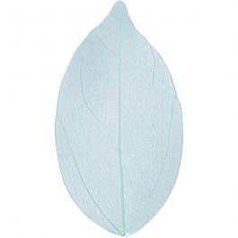 Skelettblad, L: 6-8 cm, ljusblå, 20 st./ 1 förp. [HOB-504498]