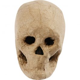 Kranium, H: 10 cm, 1 st. [HOB-592572]