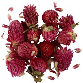 Torkade Blommor, Rödklöver, L: 1,5-2,5 cm, Dia. 1 - 1,5 cm, 15 g, lila, 1 förp. [HOB-709502]