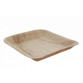 Tallrik Palmblad 24x2,5x24 cm (100 st) [TK-9987151]