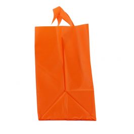 Snackbags 21+15x19cm Orange (250 st) [FP-DQL016]