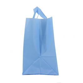 Snackbags 21+15x19cm Blå (250 st) [FP-DQL017]