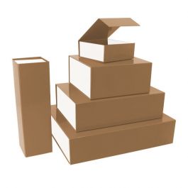 Magnetlådor 42,5x33,3x9,7cm brun/vit (25 st) [FP-VPD092]