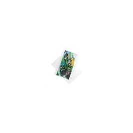 Plastpåsar 29x44cm Transparent (100 st) [B1117NF]