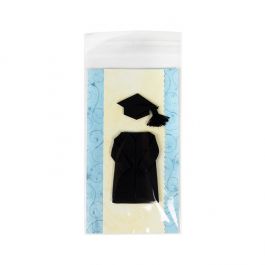 Plastpåsar 9,7x16,8 cm Transparent med Tejpremsa (100 St) [B3X6XL]