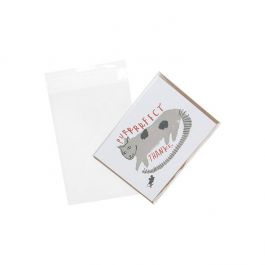 Plastpåsar 12,5x18cm Transparent med Tejpremsa (100 st) [B47]