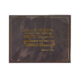 Plastpåsar 11x15,5+4cm Transparent med Tejpremsa (100 st) [B4X6]