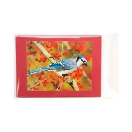 Plastpåsar 14,6x19,7cm Transparent med Tejpremsa (100 st) [B57M]