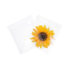 Plastpåsar 21,4x21cm Transparent (100 st) [B8X8NF]
