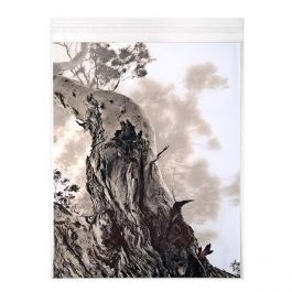 Plastpåsar 28,6x35,9cm Transparent med Tejpremsa (100 st) [B11S]