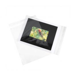 Plastpåsar 24x31,2cm Transparent med Tejpremsa (100 st) [B9]