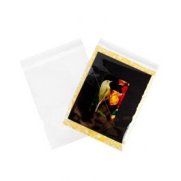 Plastpåsar 22,7x28,6cm Transparent med Tejpremsa (250 st) [VL811]