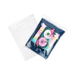 Blixtlåspåsar med häng hål 25,5x33cm Kristallklart PP 50 mikron (100 st) [ZR1013]