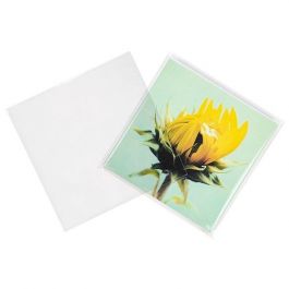 Biopåsar MILJÖ 17x16,7cm Förseglingsbar (100 st) [GC6X6MNF]