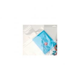 Cellofanpåsar med Eurohål 7x8,9cm Transparent med Tejpremsa (100 st) [HB23PC]