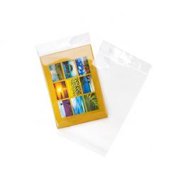 Cellofanpåsar med Eurohål 11,7x16,2cm Transparent med Tejpremsa (100 st) [HB4X6XL]