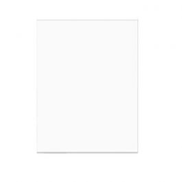 Plastpåsar 51,9x62cm Transparent (100 st) [B20NF]